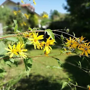 https://fewo-happy-place-in-traumhafter-lage-see-nah.com-bavaria.com